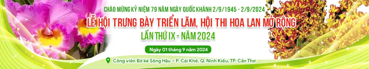 //custa.cantho.gov.vn/files/images/NAM%202024/IMG_20240830_142116.jpg