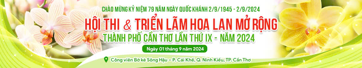 //custa.cantho.gov.vn/files/images/NAM%202024/bannenr%20hoi%20thi%20hoa%20lan%20mo%20rong%202024.jpg